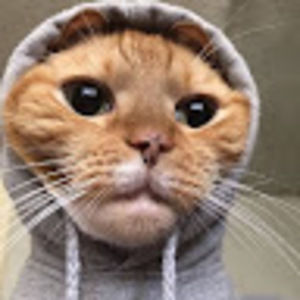 Meet your Posher, Piop